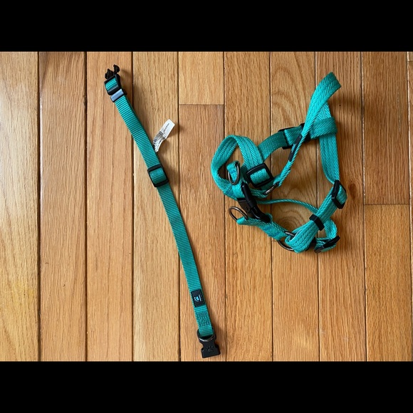 Top Paw collar harness